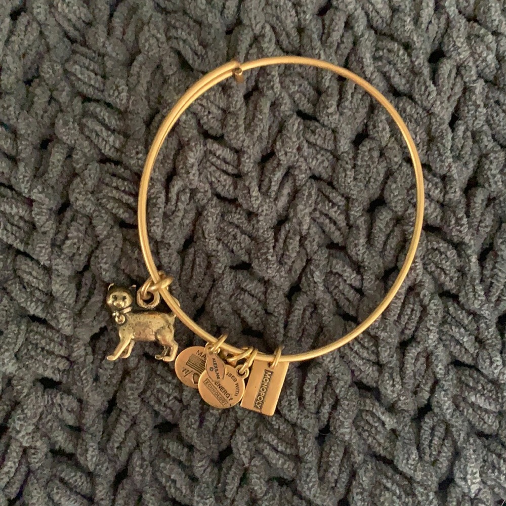 Alex and Ani Charm Bracelet